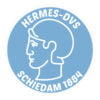 HERMES DVS